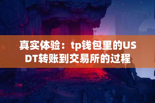 真实体验:tp钱包里的USDT转账到交易所的过程 真实体验:tp钱包里的USDT转账到交易所的过程